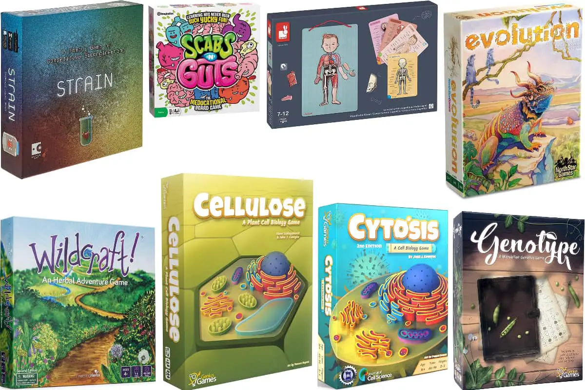 11-Biology-Board-Games-for-Home-and-School