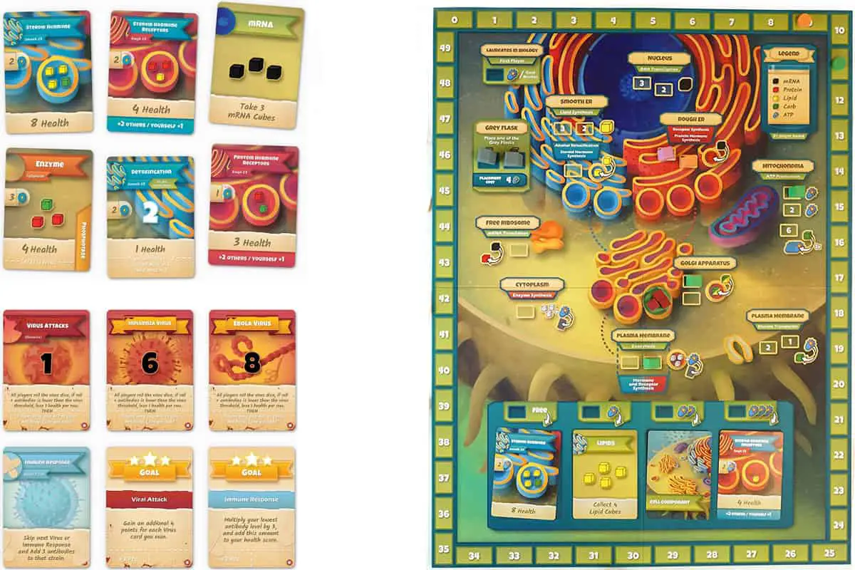 Cytosis is a Cell Biology Board Game
to build enzymes, hormones and receptors and fend off attacking Viruses.
