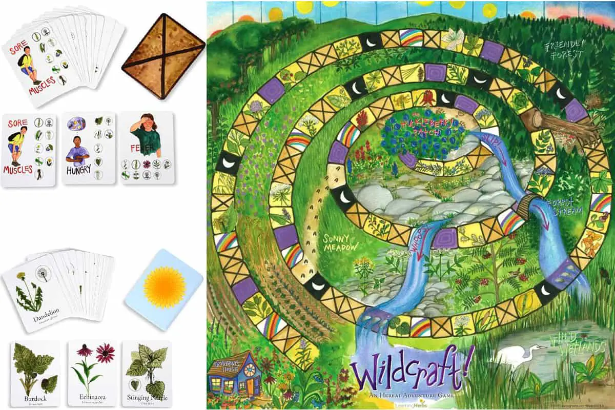 Wildcraft is an Herbal Adventure cooperative board game that teaches edible plants and healing herbs. 