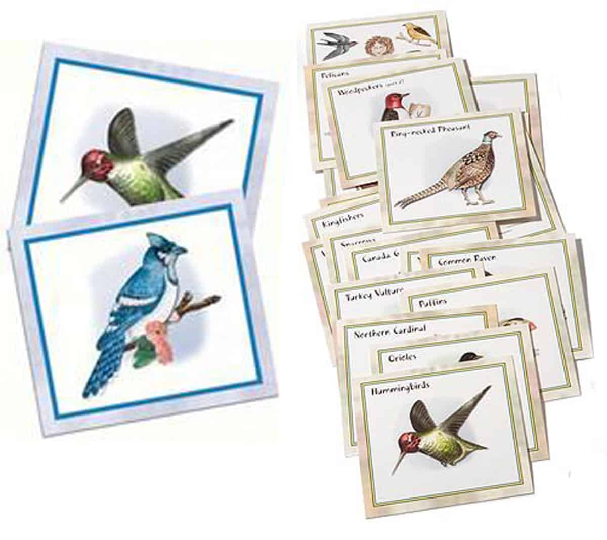 Birds of North America (Outset Media - Professor Noggin’s)  is a quiz card game that focuses on the different avian species in this continent. 