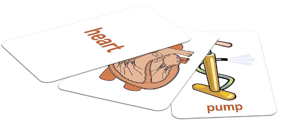 Body Snap (The Green Board Game) is a matching card game that introduces players to the different parts of the body. 