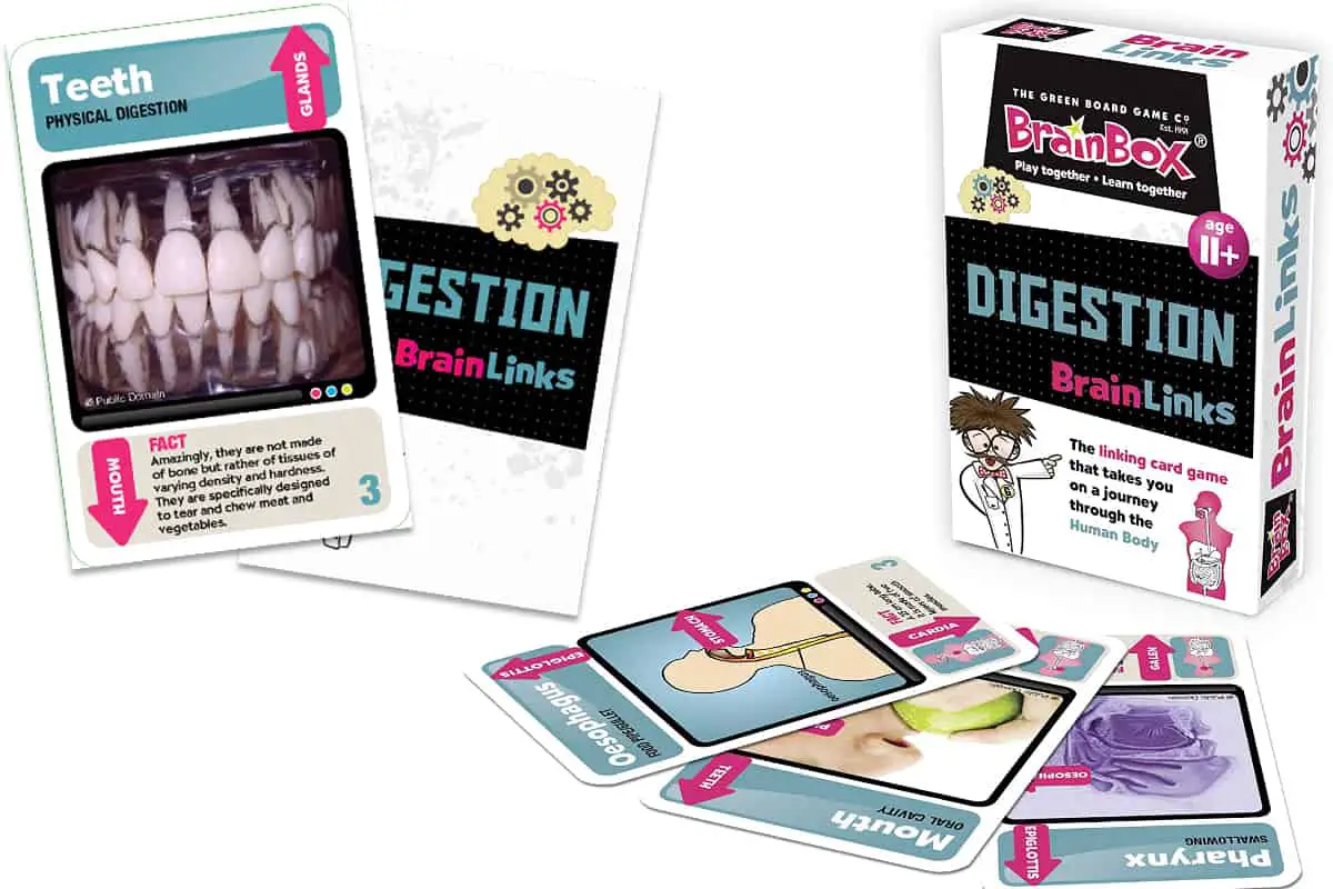 Brain Links - Digestion (The Green Board Game) is a linking card game that takes players on a food journey in the digestive system.
