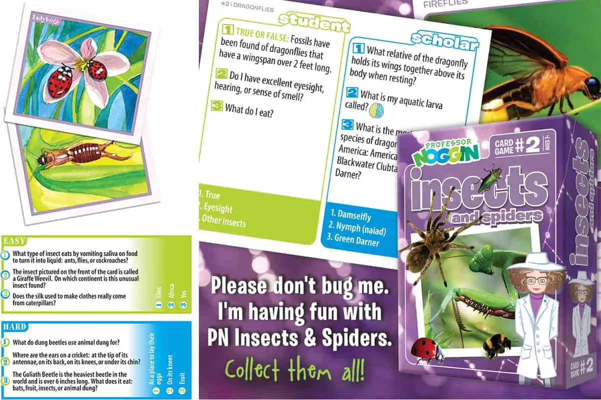 Insects and Spiders (Outset Media - Professor Noggin’s) is a quiz card game that focuses on different types of insects and spiders.