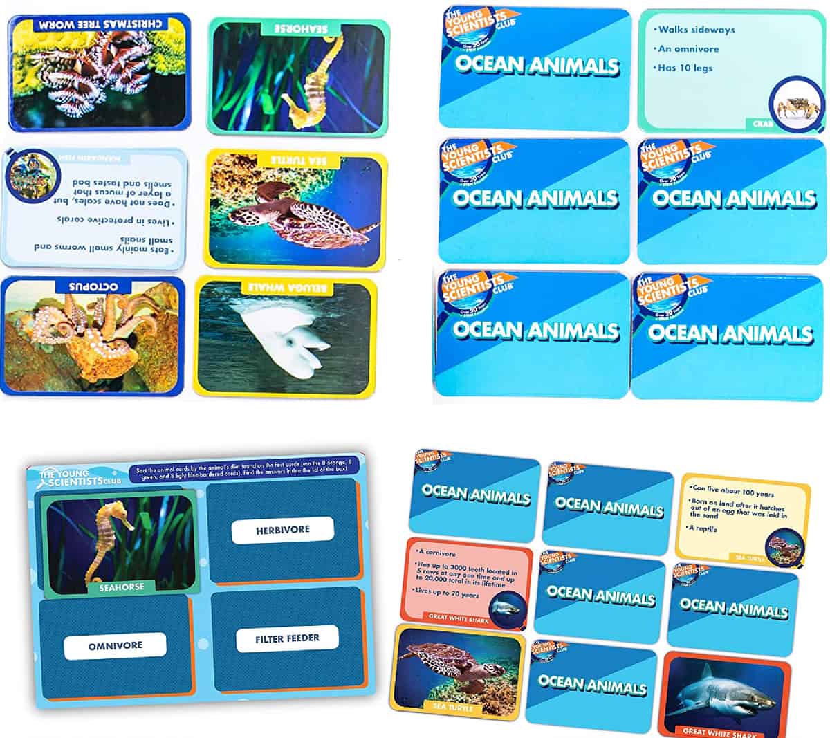Ocean Animal Card Games (The Young Scientists Club) is a card game about ocean animals.