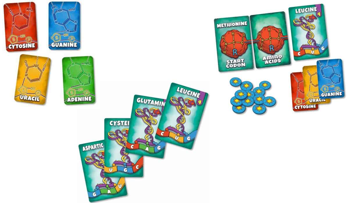 Peptide is a protein building card game. 