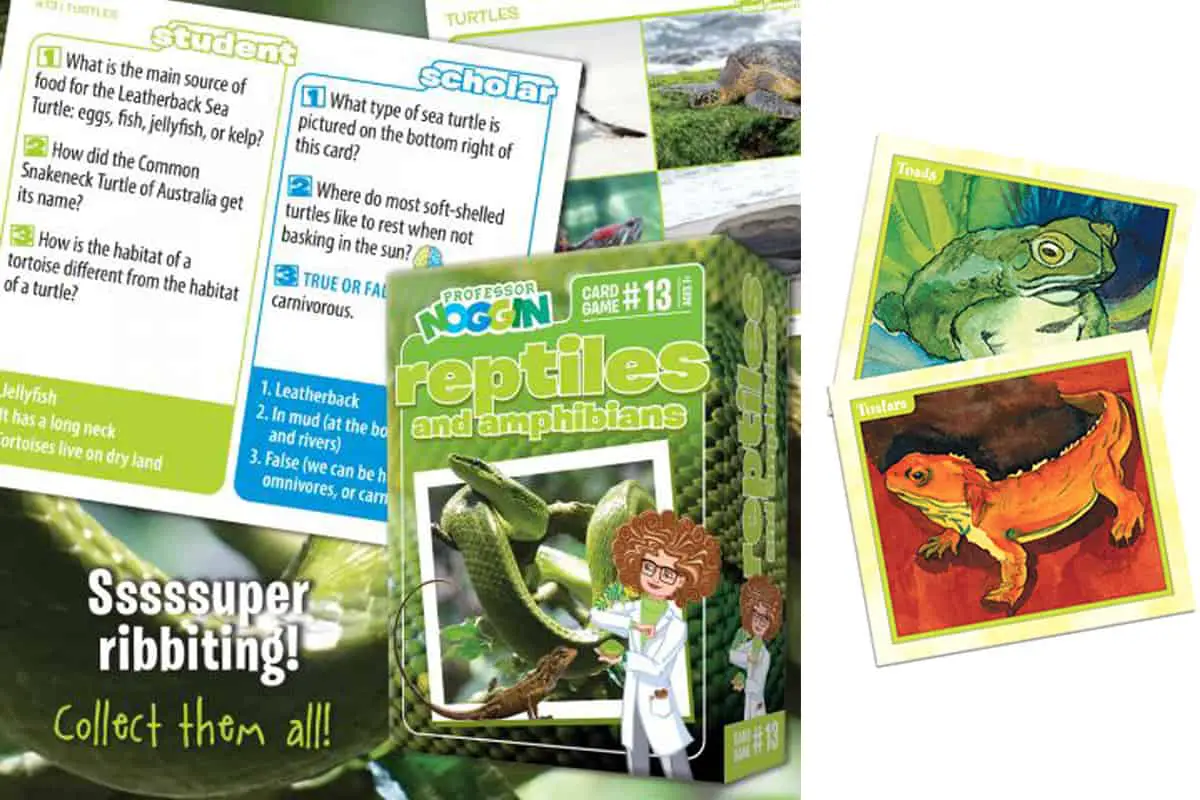 Reptiles and Amphibians (Outset Media - Professor Noggin’s) is a quiz card game about cold-blooded animals. 