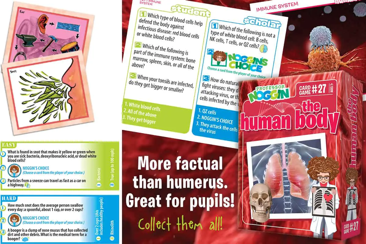 The Human Body (Outset Media - Professor Noggin’s)  is a quiz card game about human body.