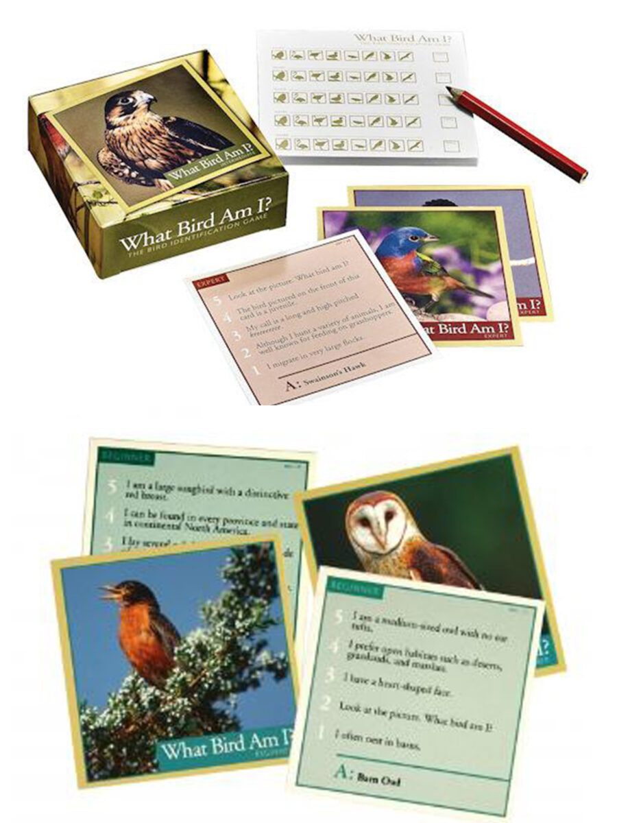 What Bird Am I? (Outset Media) is a trivia card game to challenge your knowledge about different bird species.