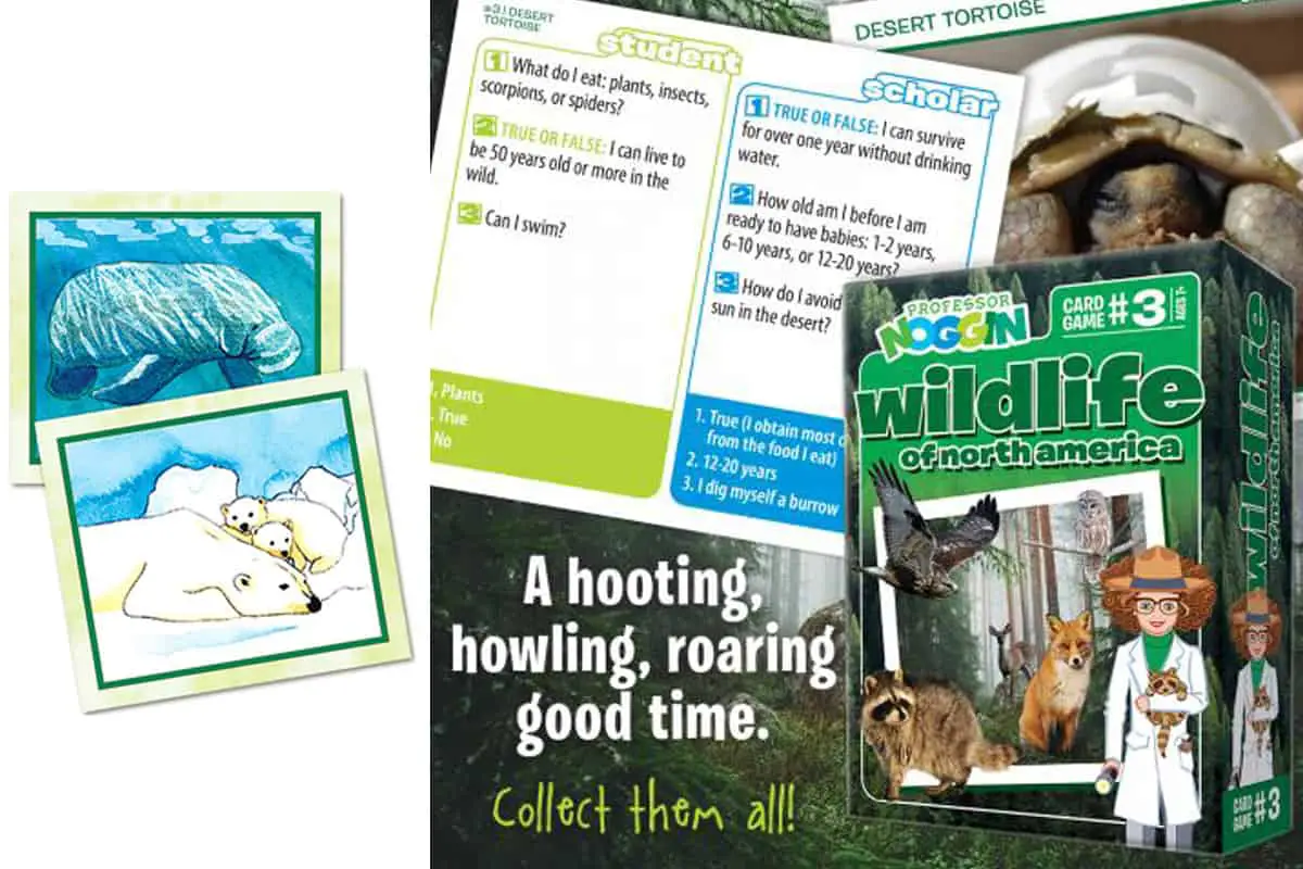 Wildlife of North America (Outset Media - Professor Noggin’s) is about the different plants and animals found in North America. 