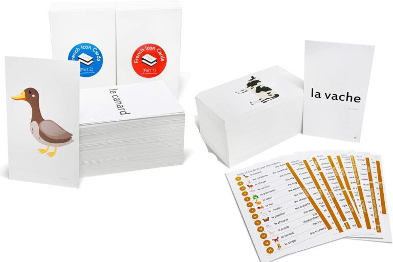 14 French Learning Card Games and Flashcards