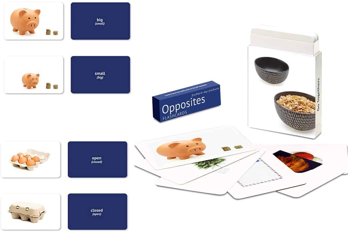 Opposites (Picture My Picture), is  card game for teaching opposites.