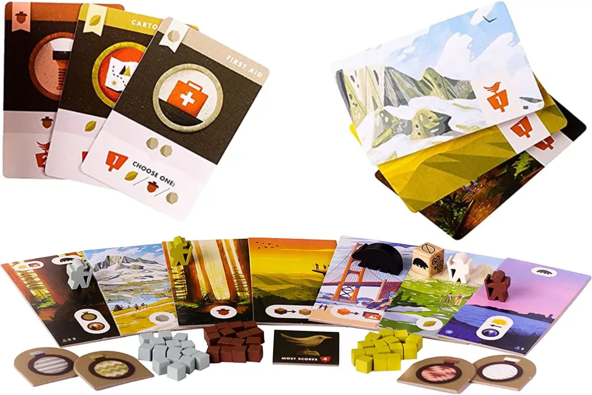 17 Nature Themed Board And Card Games To Play At Home